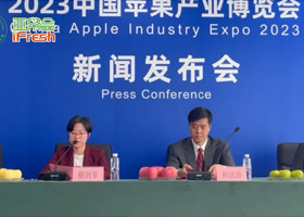 首届中国苹果产业博览会11月8日-10日上海新国际博览中心不见不散